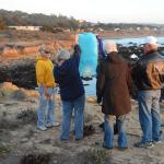 Cambria_0296 (November 02, 2013)